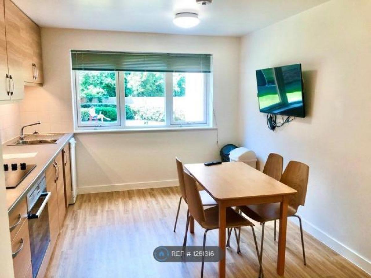 Picture of Apartment For Rent in Southampton, Hampshire, United Kingdom