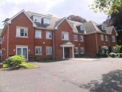 Apartment For Rent in