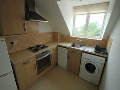 Apartment For Rent in Leicester, United Kingdom