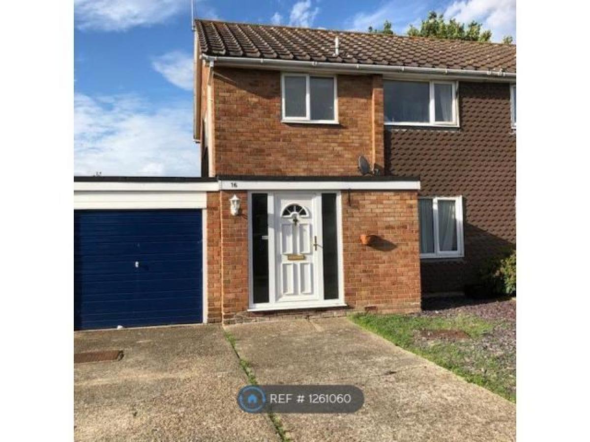 Picture of Home For Rent in Colchester, Essex, United Kingdom