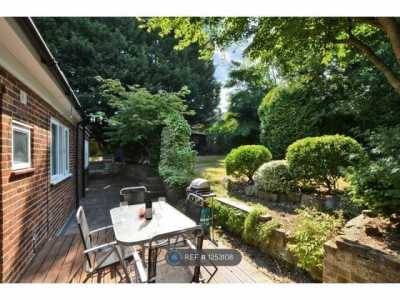Apartment For Rent in Guildford, United Kingdom