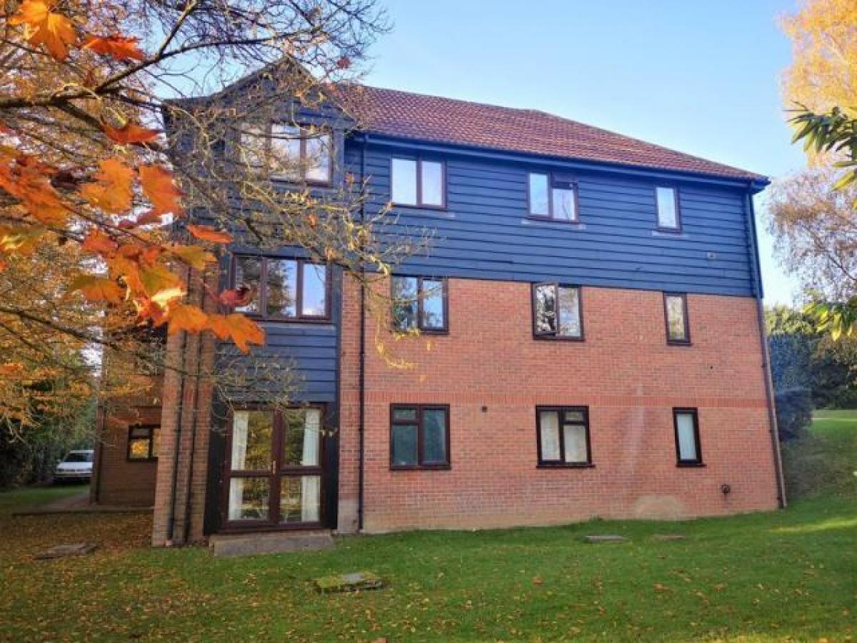 Picture of Apartment For Rent in Farnham, Surrey, United Kingdom