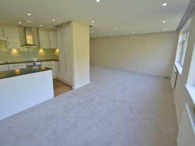 Apartment For Rent in 