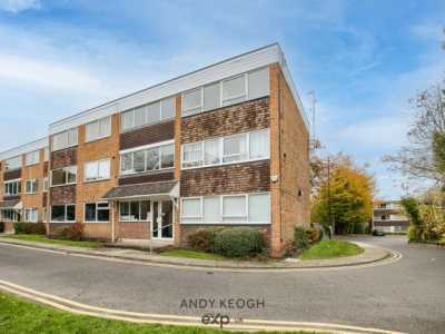 Apartment For Rent in 