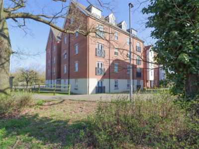 Apartment For Rent in 