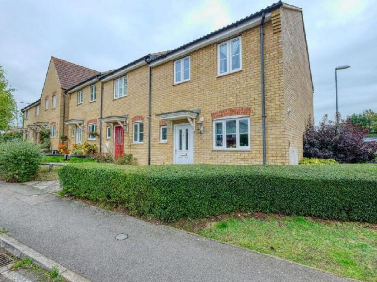 Picture of Home For Rent in Newmarket, Suffolk, United Kingdom