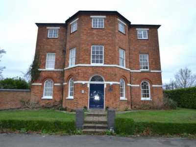 Apartment For Rent in 