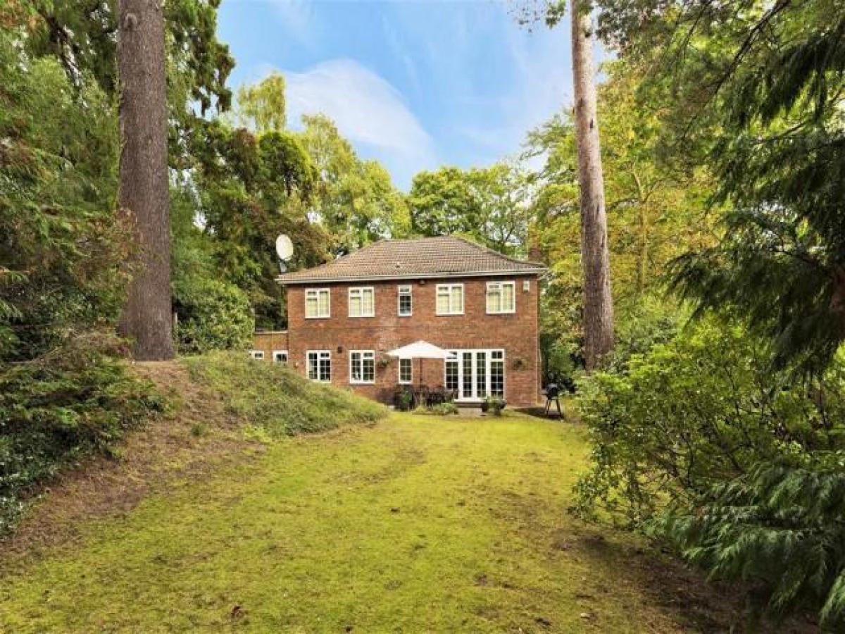 Picture of Home For Rent in Weybridge, Surrey, United Kingdom