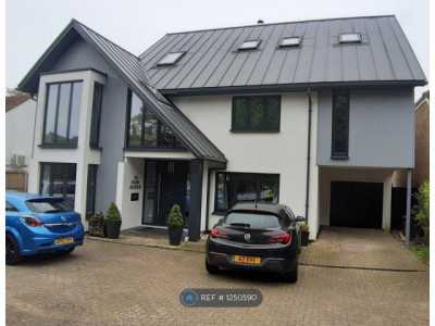 Apartment For Rent in 