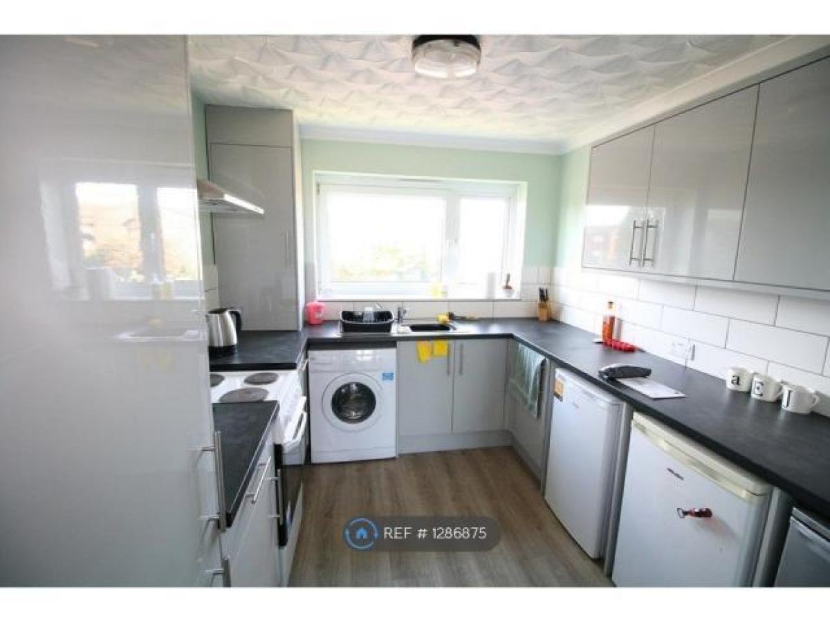 Picture of Apartment For Rent in Colchester, Essex, United Kingdom