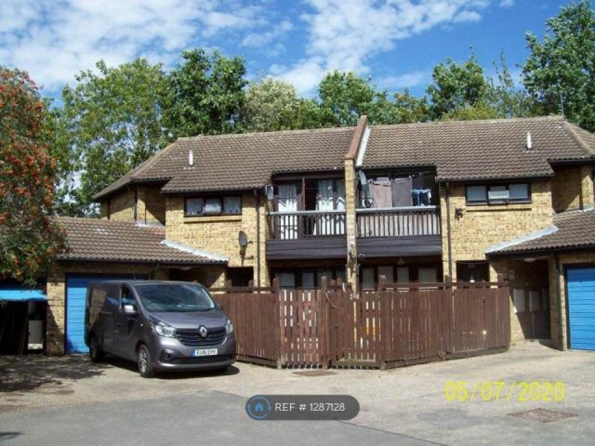 Picture of Apartment For Rent in Basildon, Essex, United Kingdom