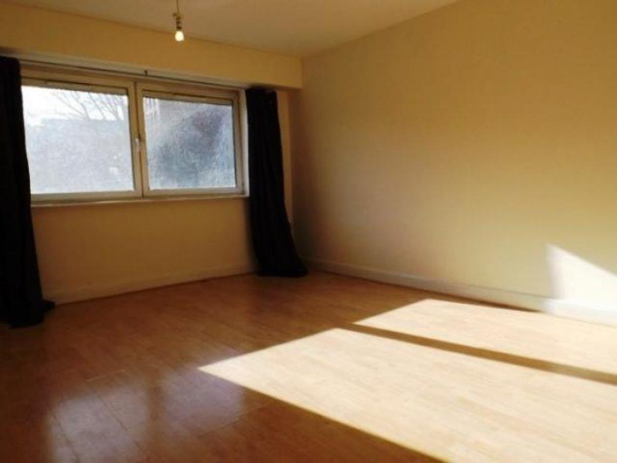 Picture of Apartment For Rent in Sheffield, South Yorkshire, United Kingdom