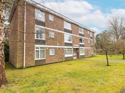 Apartment For Rent in Crowthorne, United Kingdom