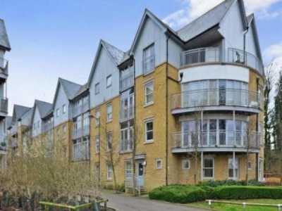 Apartment For Rent in Canterbury, United Kingdom