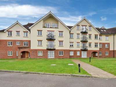 Apartment For Rent in 