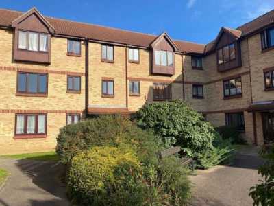 Apartment For Rent in 