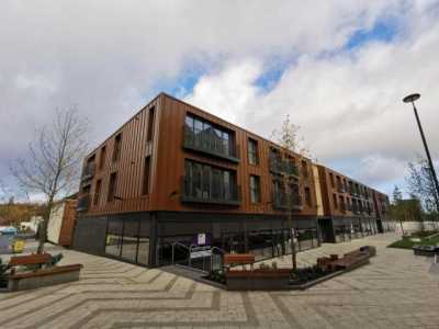 Apartment For Rent in