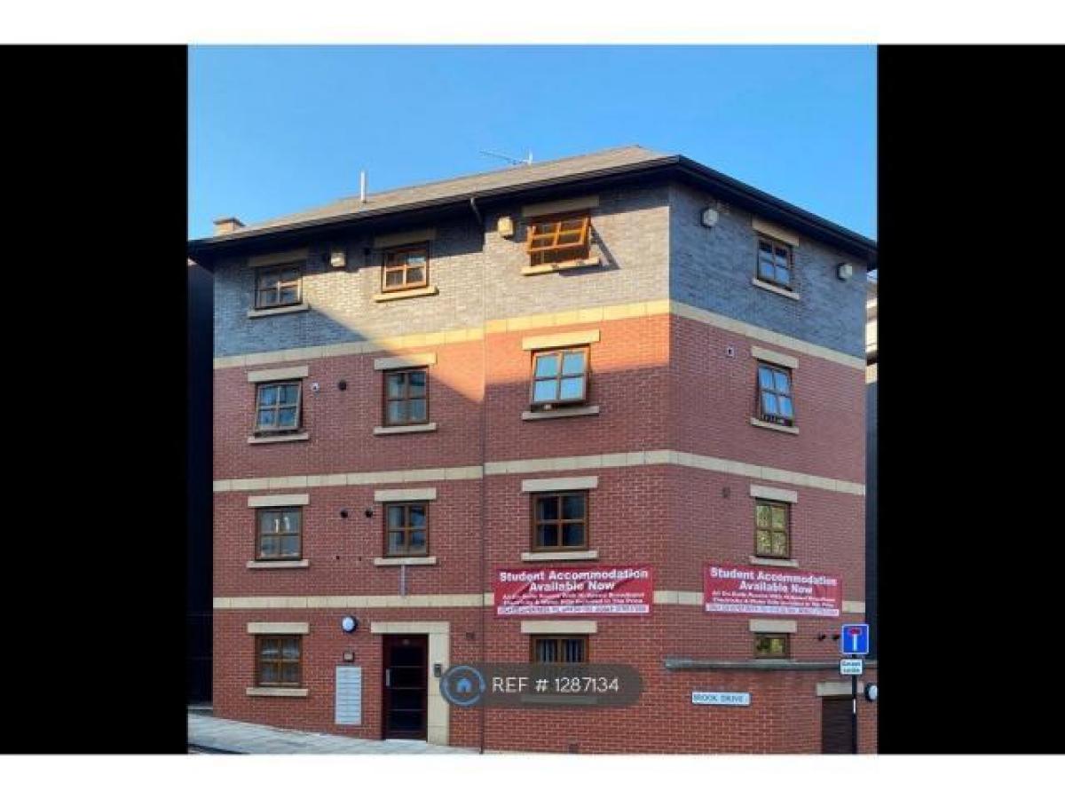 Picture of Apartment For Rent in Sheffield, South Yorkshire, United Kingdom