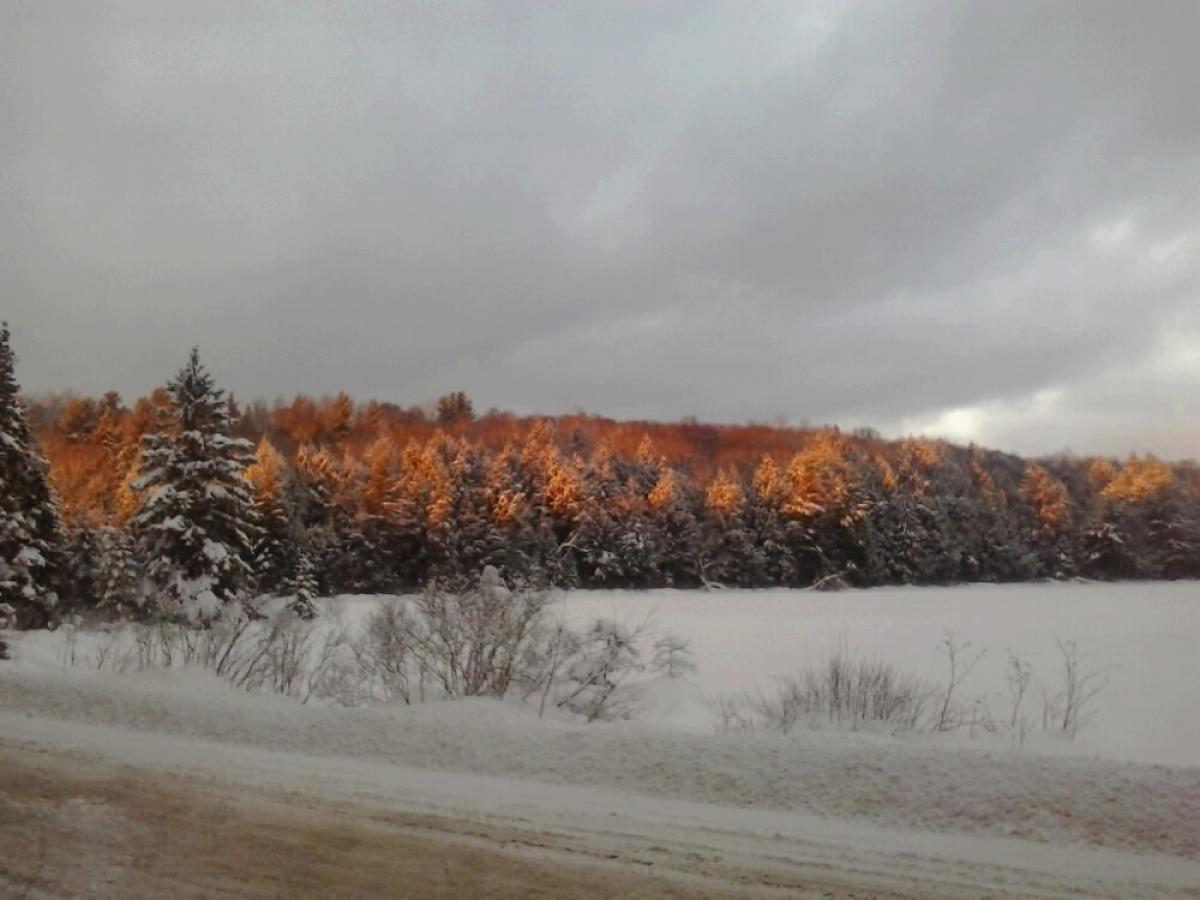 Picture of Commercial Farms For Sale in Huntsville, Ontario, Canada