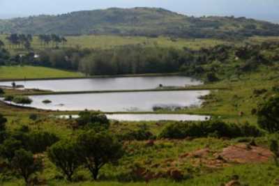 Commercial Farms For Sale in Tshwane, South Africa