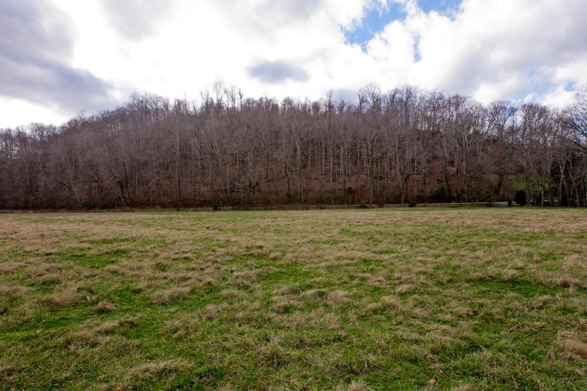 Picture of Raw Land For Sale in Franklin, Tennessee, United States