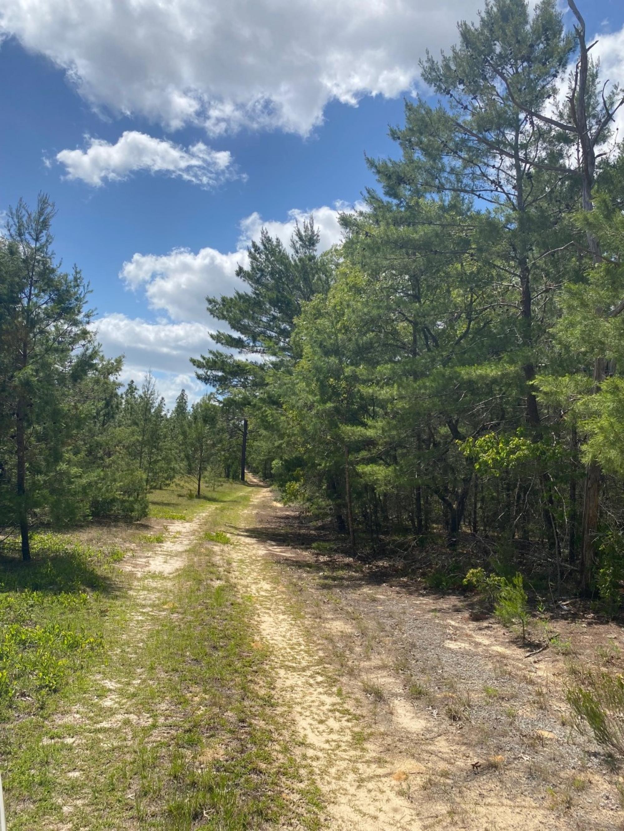 141 Sunshine Lane, Florahome, Florida, United States Residential Land