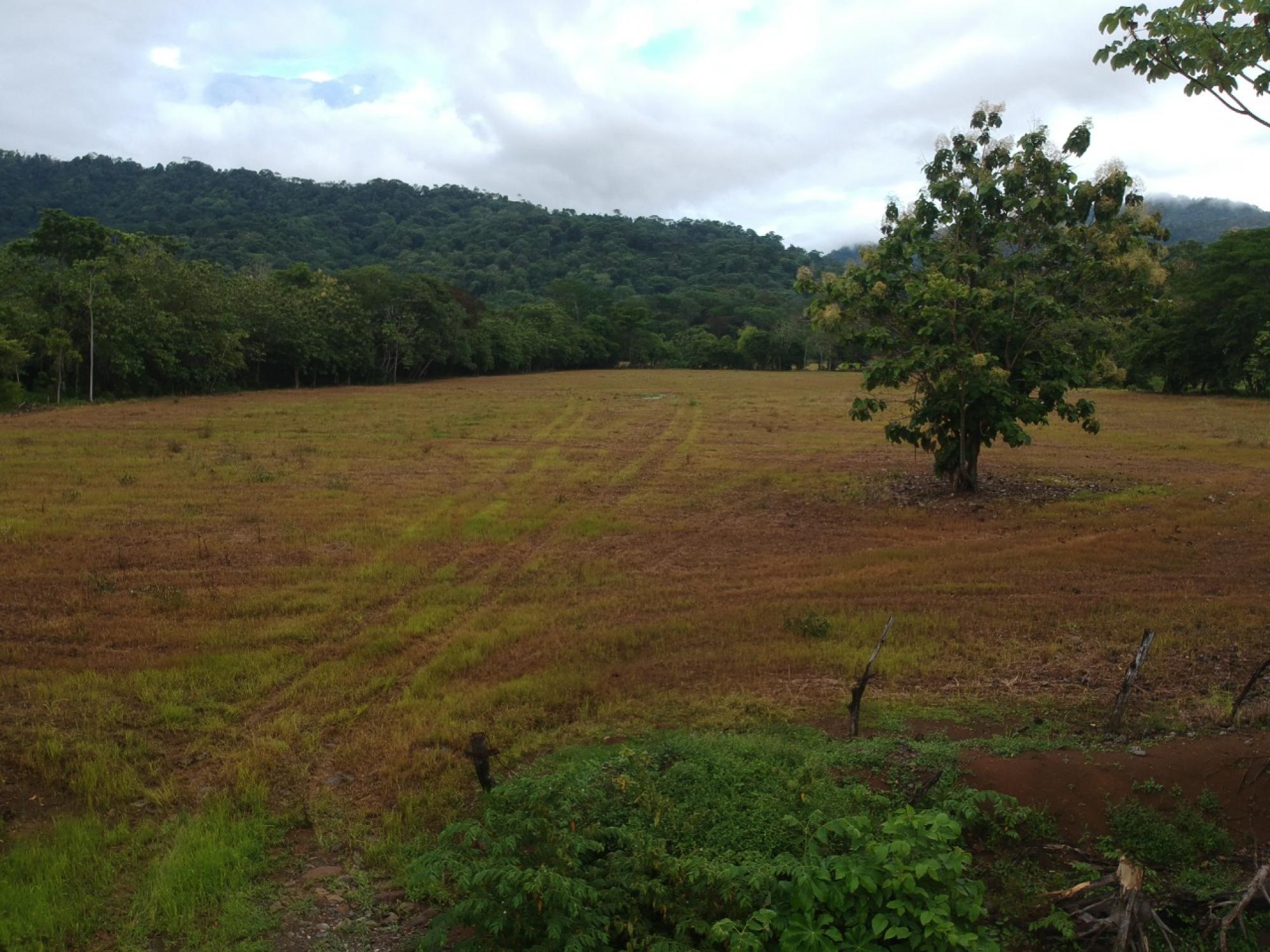 Picture of Farm For Sale in Dominical, Puntarenas, Costa Rica