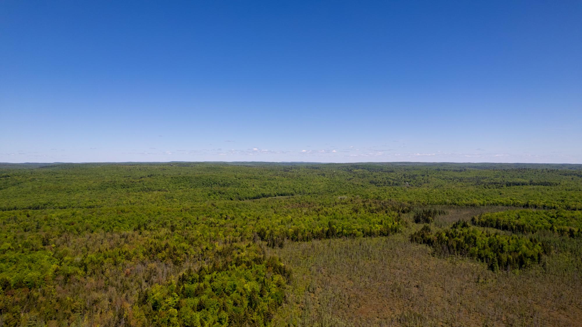 Picture of Raw Land For Sale in Brownsburg Chatham, Quebec, Canada