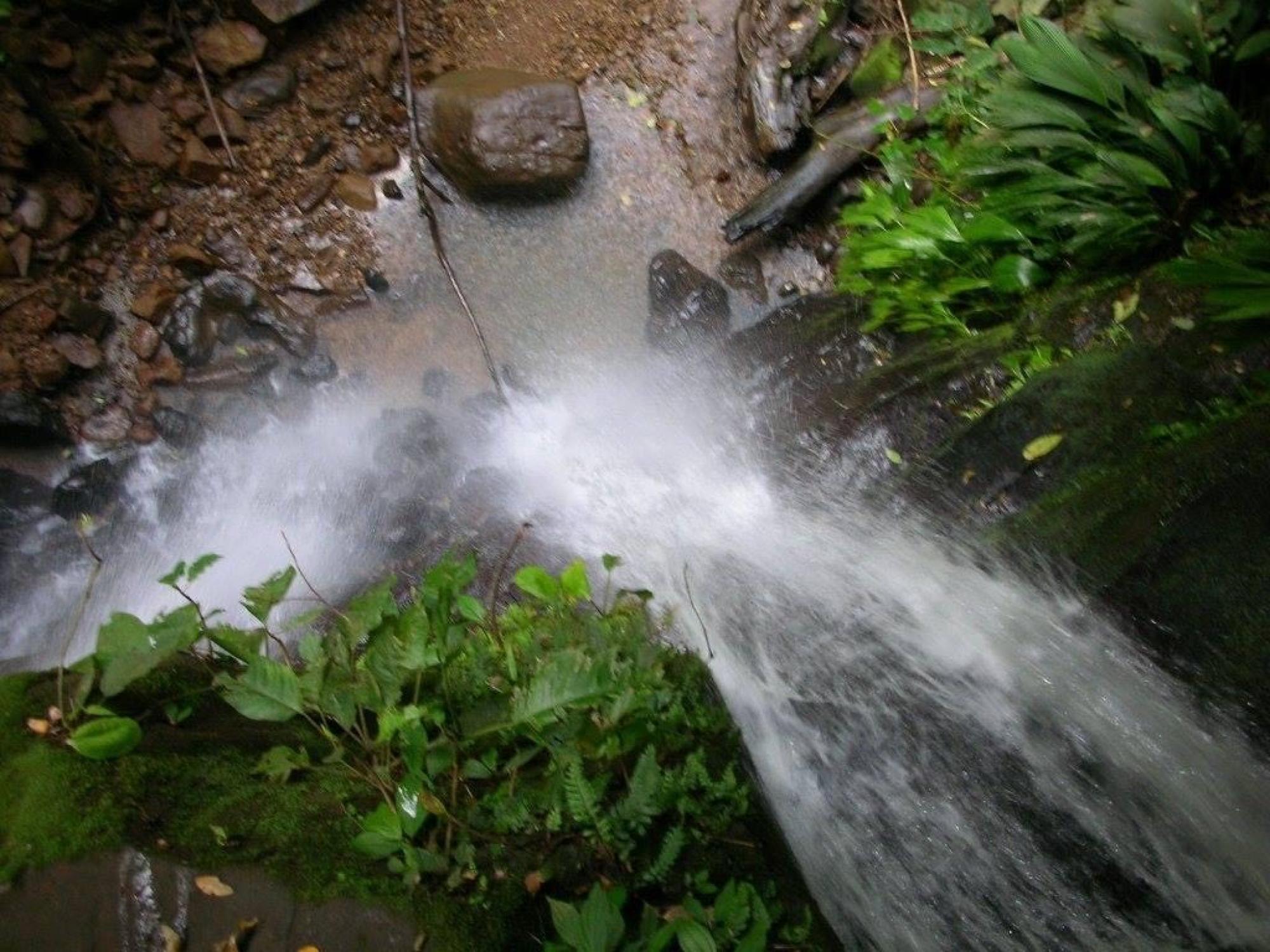 Picture of Home For Sale in Cahuita, Limon, Costa Rica