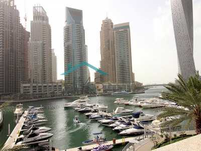 Villa For Rent in Dubai Marina, United Arab Emirates
