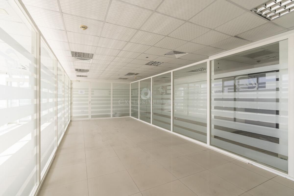 Picture of Office For Rent in Jumeirah Lake Towers (Jlt), Dubai, United Arab Emirates
