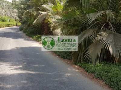 Apartment For Rent in Dubailand, United Arab Emirates