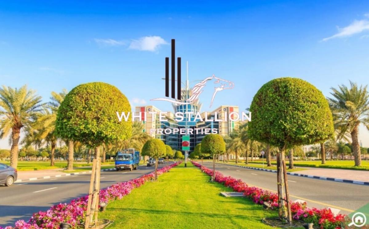 Picture of Office For Rent in Dubai Silicon Oasis (Dso), Dubai, United Arab Emirates