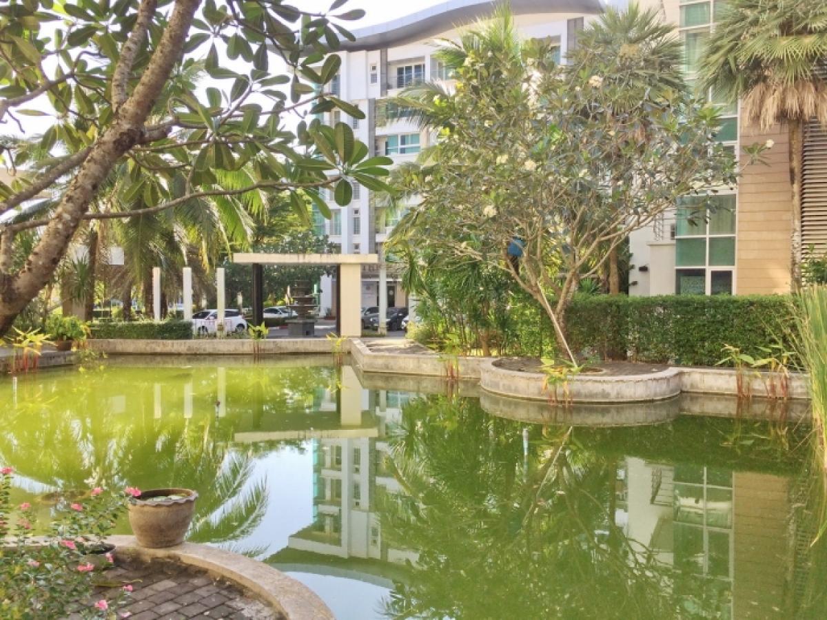 Picture of Apartment For Rent in Kathu, Phuket, Thailand