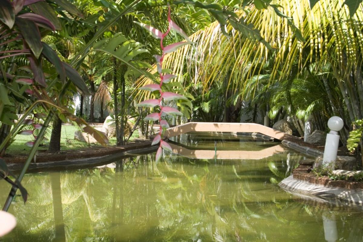 Picture of Villa For Rent in Paklok, Phuket, Thailand