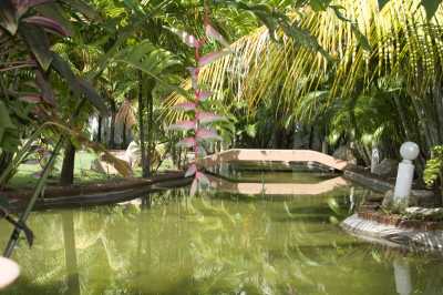 Villa For Rent in Paklok, Thailand