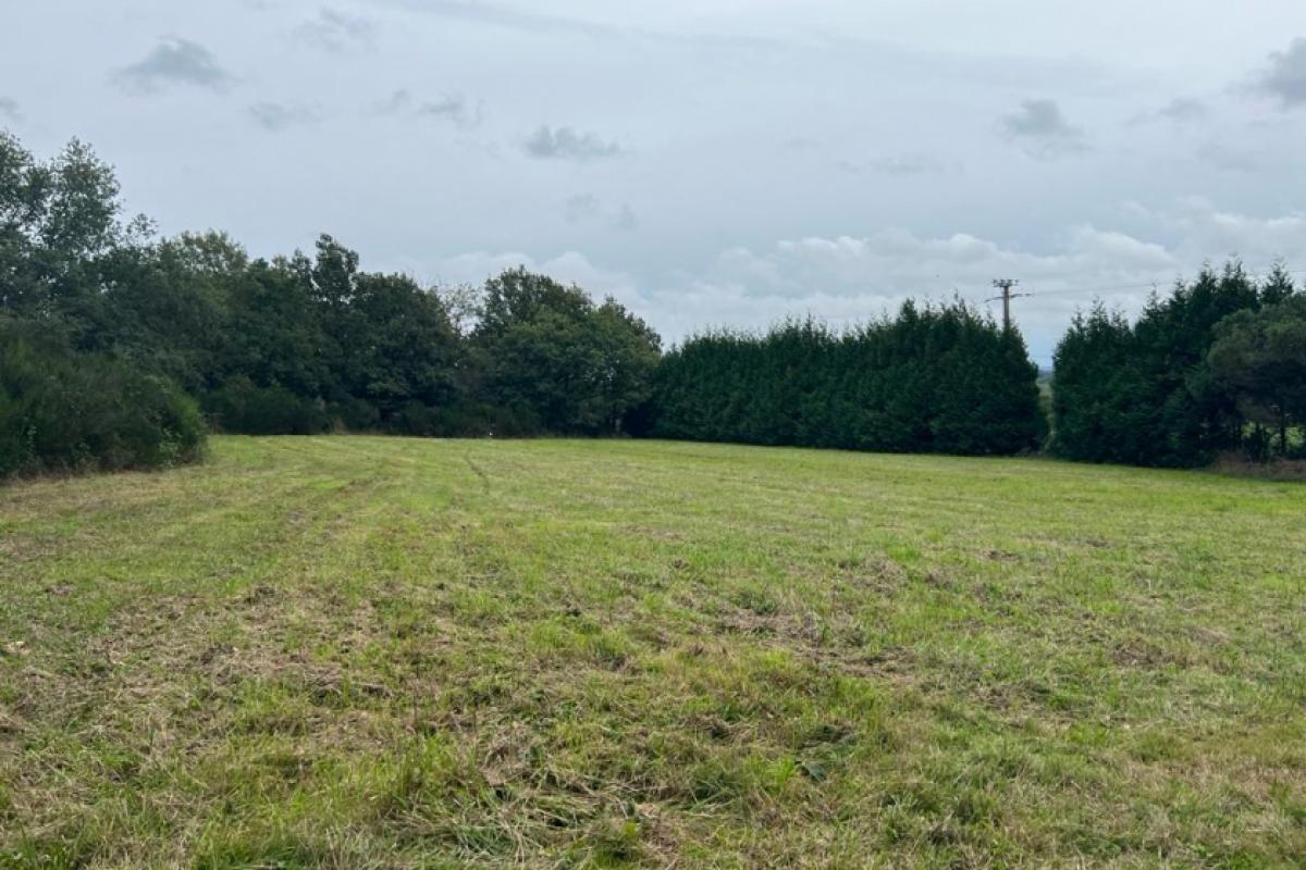 Picture of Residential Land For Sale in Morbihan, Morbihan, France
