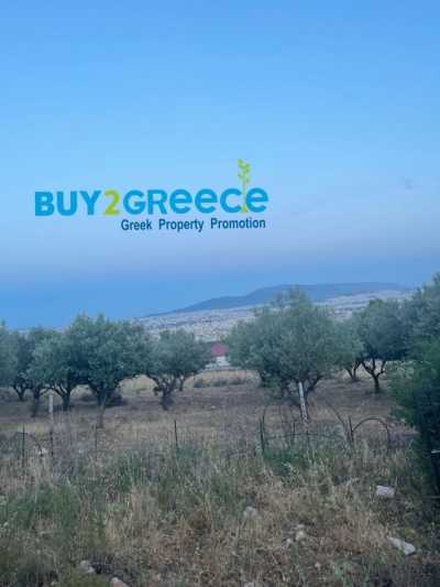 Residential Land For Sale in Acharnes, Greece