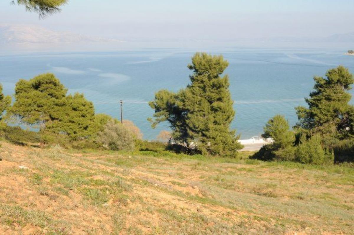 Picture of Farm For Sale in Kalamos, Other, Greece
