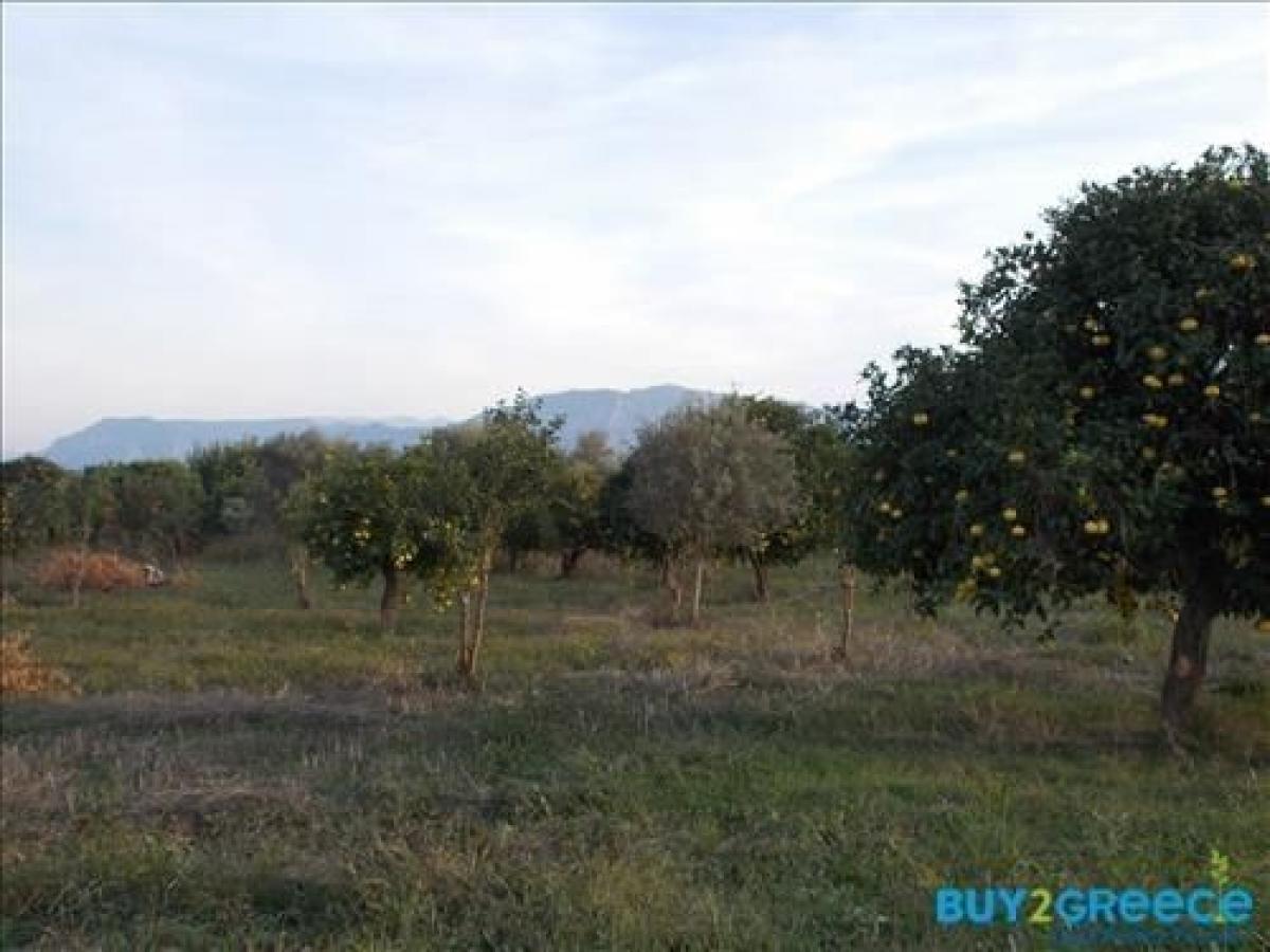 Picture of Residential Land For Sale in Achaia, Other, Greece
