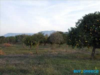 Residential Land For Sale in Achaia, Greece
