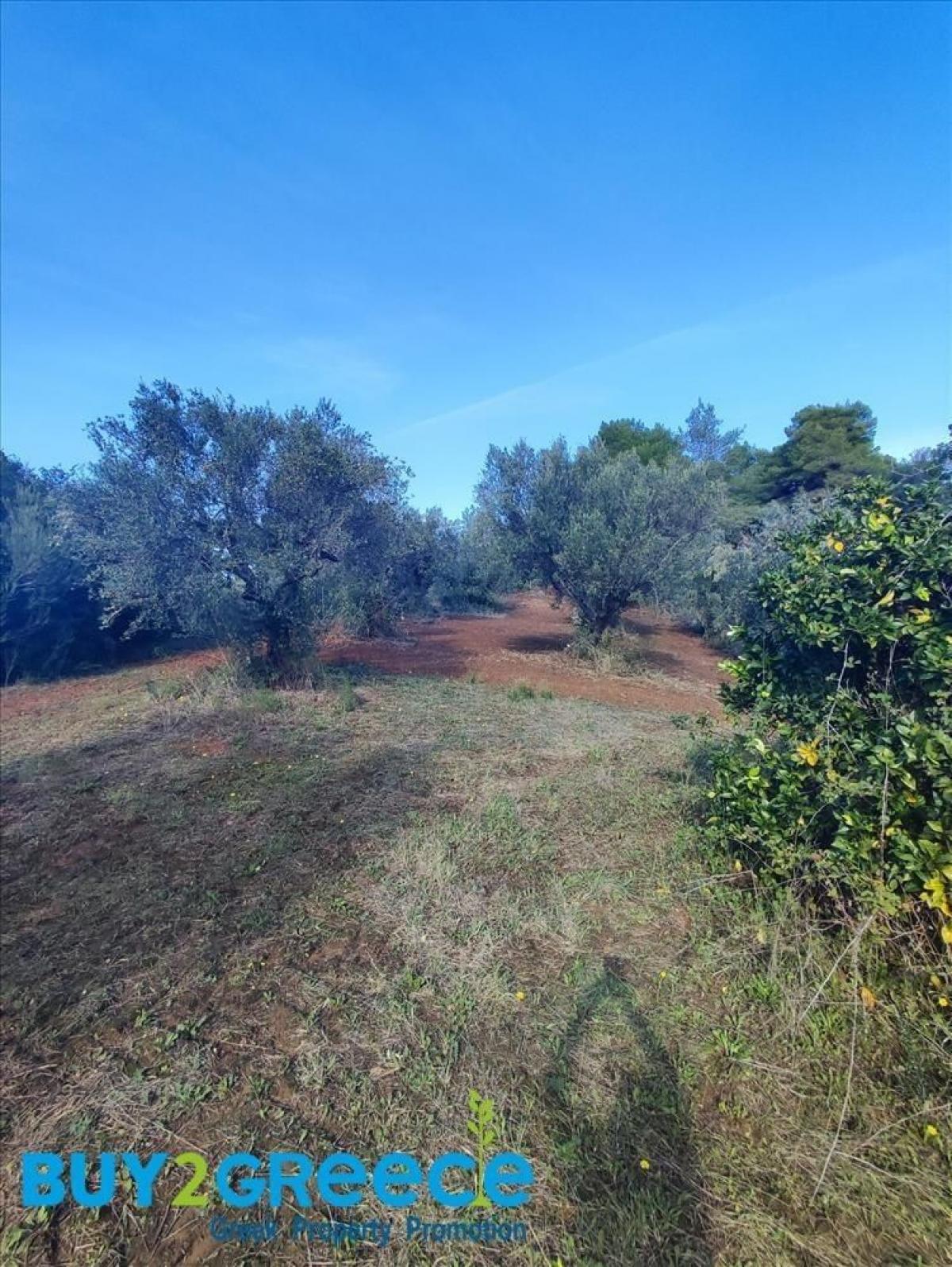 Picture of Residential Land For Sale in Ilia, Other, Greece