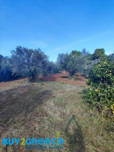 Residential Land For Sale in Ilia, Greece