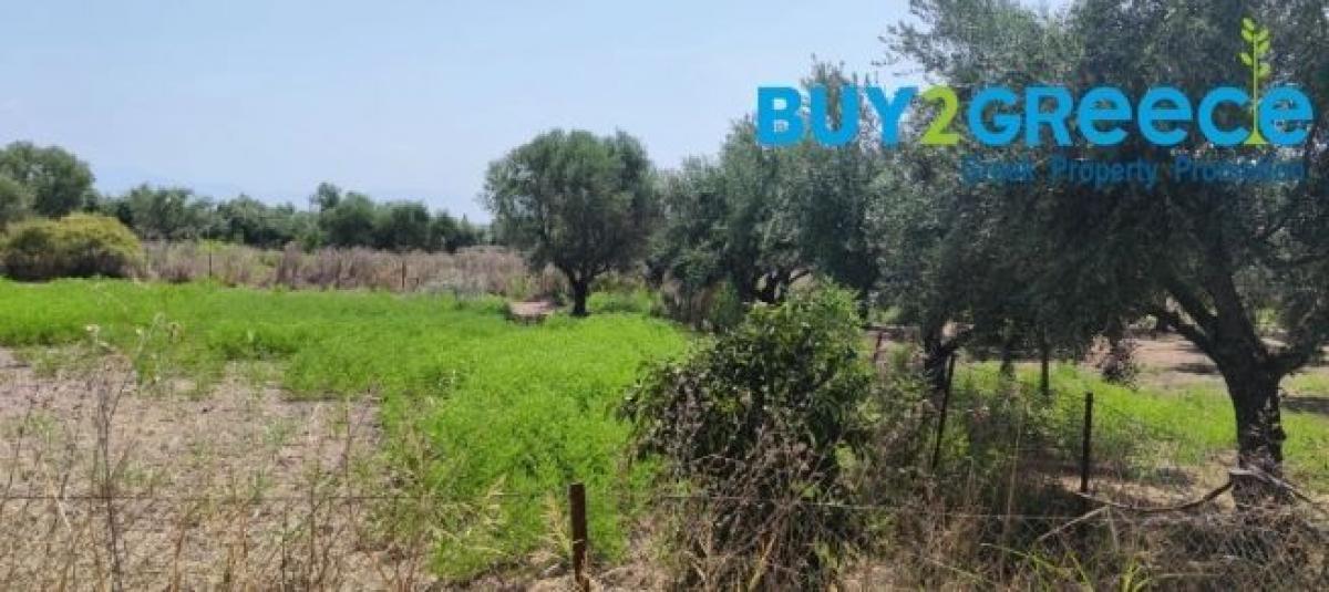 Picture of Residential Land For Sale in Messinia, Other, Greece
