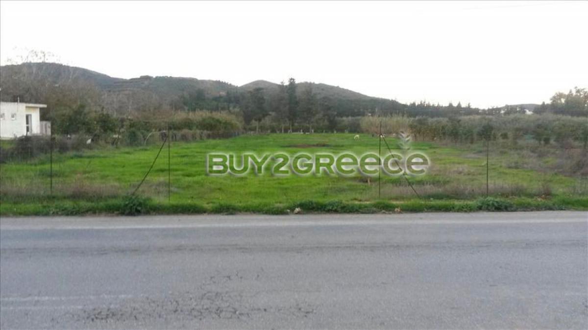 Picture of Farm For Sale in Chania Prefecture, Other, Greece
