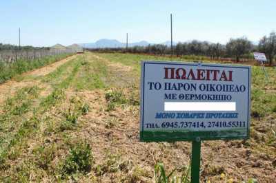 Farm For Sale in Corinthia, Greece