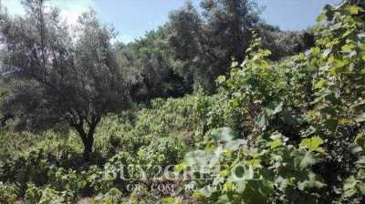 Residential Land For Sale in Lefkada, Greece