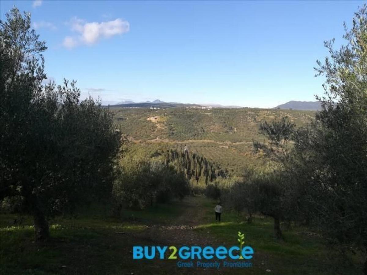 Picture of Residential Land For Sale in Messinia, Other, Greece
