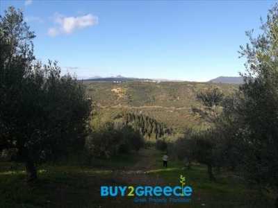 Residential Land For Sale in Messinia, Greece