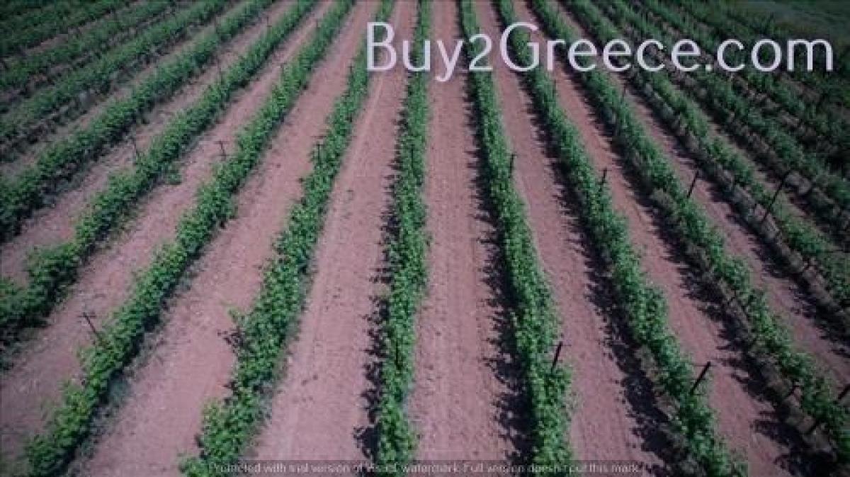Picture of Residential Land For Sale in Triglia, Other, Greece